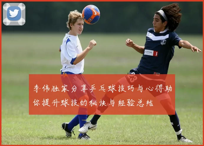 李伟独家分享乒乓球技巧与心得助你提升球技的秘诀与经验总结