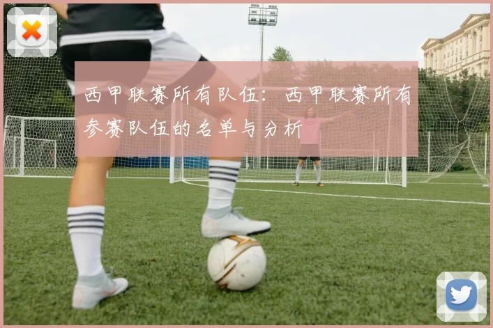 西甲联赛所有队伍：西甲联赛所有参赛队伍的名单与分析
