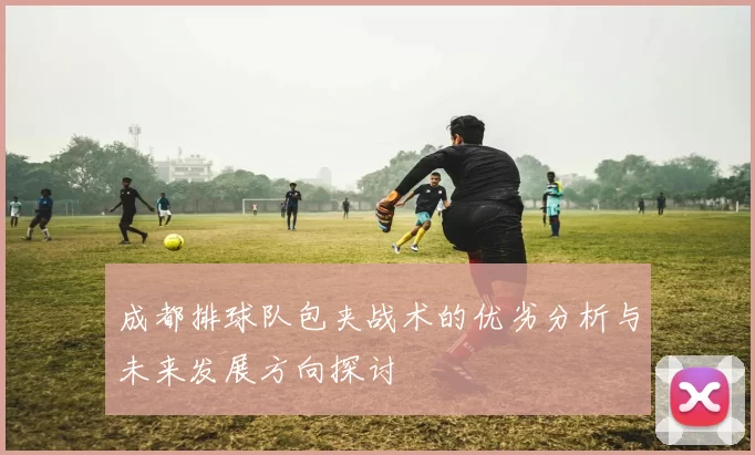 成都排球队包夹战术的优劣分析与未来发展方向探讨