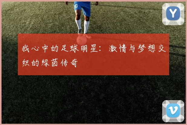 我心中的足球明星：激情与梦想交织的绿茵传奇