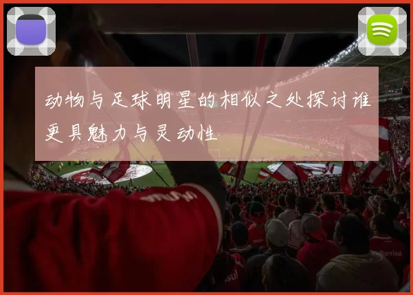 动物与足球明星的相似之处探讨谁更具魅力与灵动性