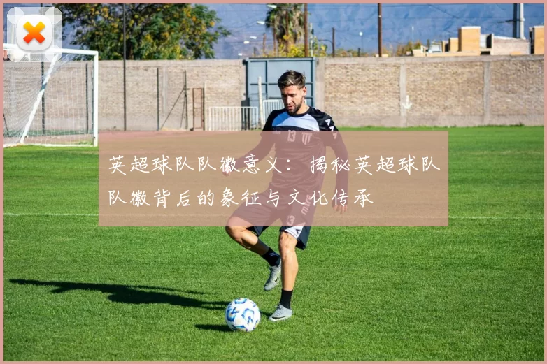 英超球队队徽意义：揭秘英超球队队徽背后的象征与文化传承