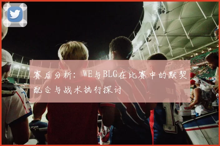 赛后分析：WE与BLG在比赛中的默契配合与战术执行探讨