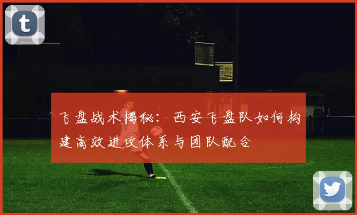 飞盘战术揭秘：西安飞盘队如何构建高效进攻体系与团队配合