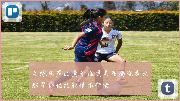 足球明星的妻子谁更美丽揭晓各大球星伴侣的颜值排行榜