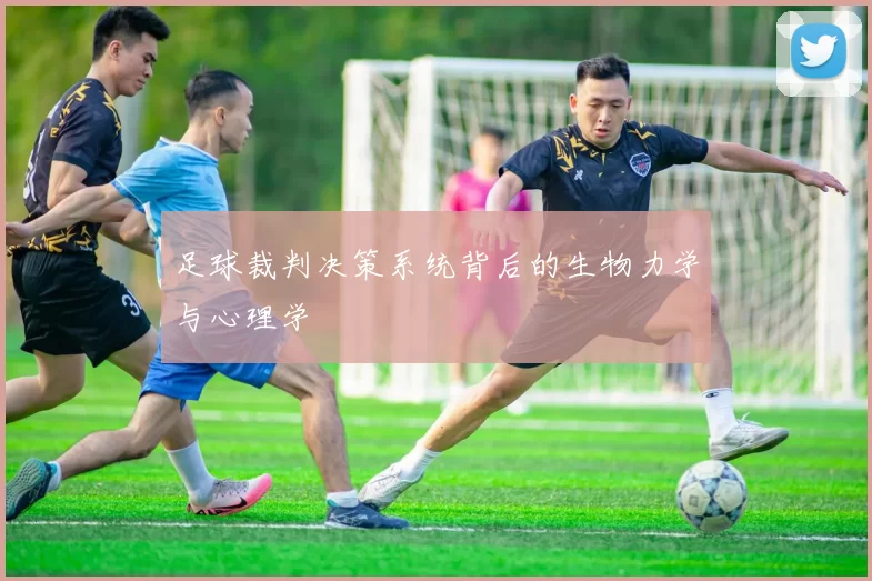 足球裁判决策系统背后的生物力学与心理学