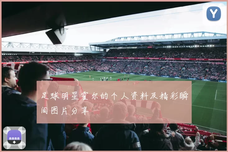 足球明星霍尔的个人资料及精彩瞬间图片分享