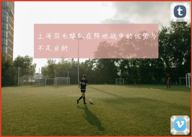上海羽毛球队在阵地战中的优势与不足分析