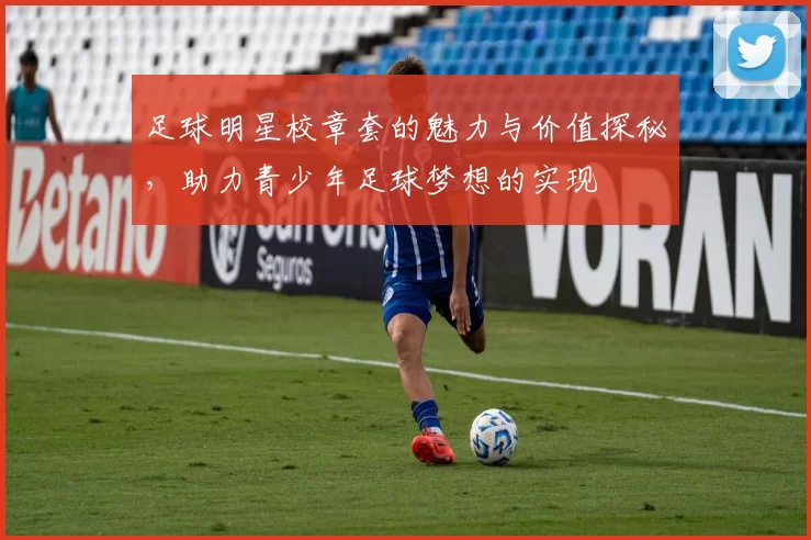 足球明星校章套的魅力与价值探秘，助力青少年足球梦想的实现