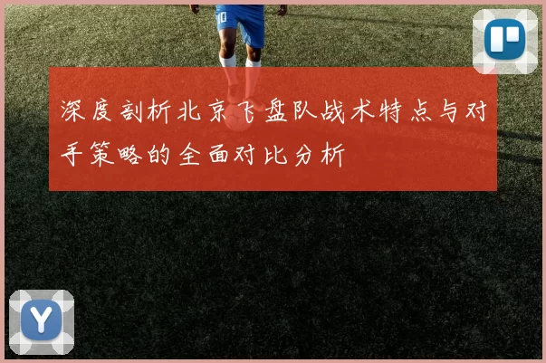 深度剖析北京飞盘队战术特点与对手策略的全面对比分析