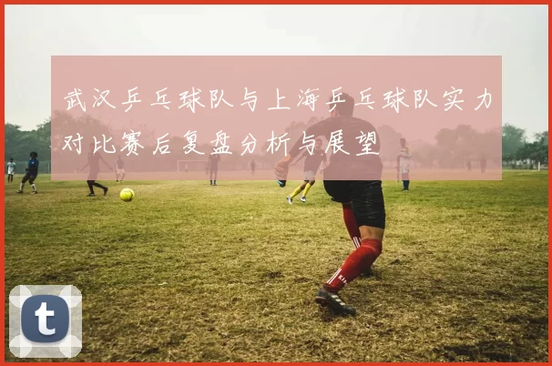 武汉乒乓球队与上海乒乓球队实力对比赛后复盘分析与展望