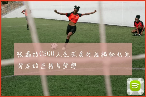 张磊的CSGO人生深度对话揭秘电竞背后的坚持与梦想