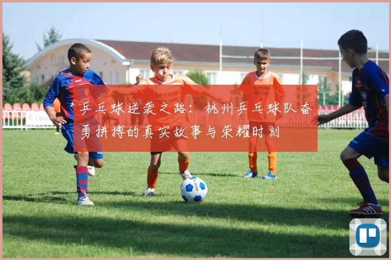 乒乓球逆袭之路：杭州乒乓球队奋勇拼搏的真实故事与荣耀时刻