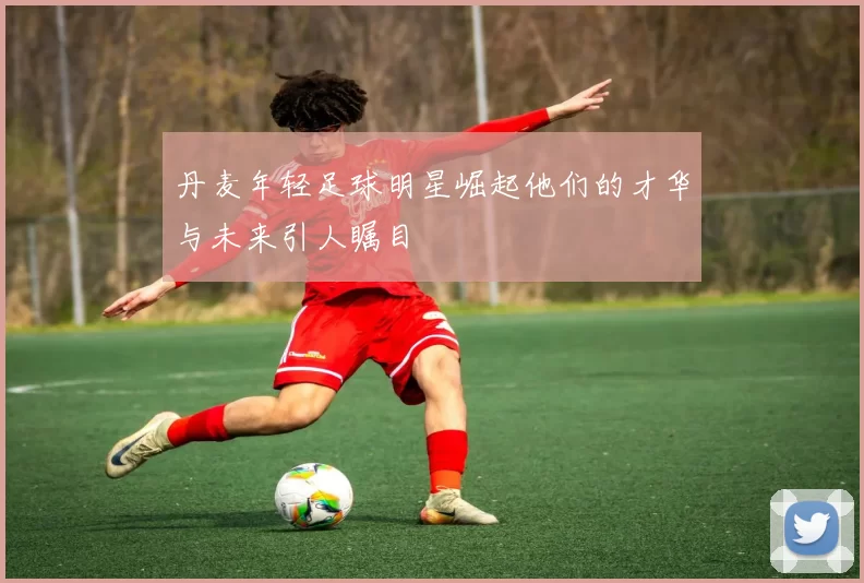 丹麦年轻足球明星崛起他们的才华与未来引人瞩目