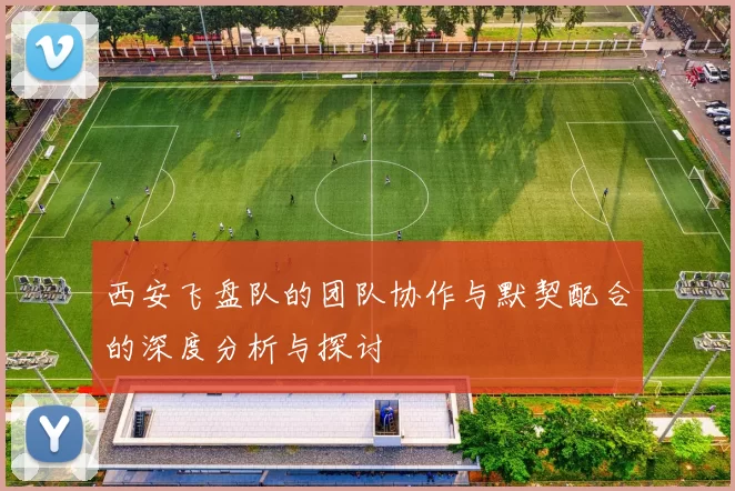 西安飞盘队的团队协作与默契配合的深度分析与探讨