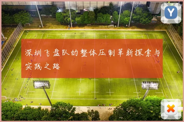 深圳飞盘队的整体压制革新探索与实践之路