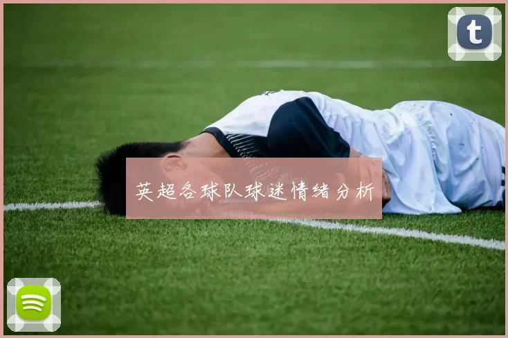 英超各球队球迷情绪分析