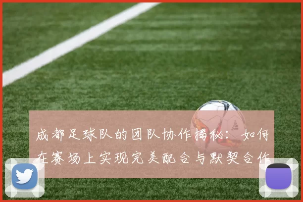 成都足球队的团队协作揭秘：如何在赛场上实现完美配合与默契合作