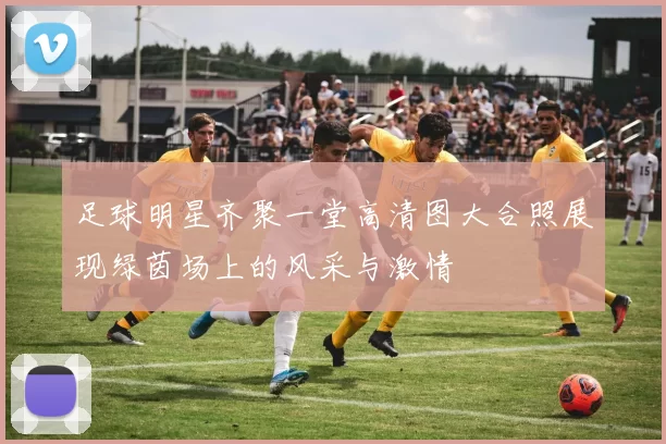 足球明星齐聚一堂高清图大合照展现绿茵场上的风采与激情
