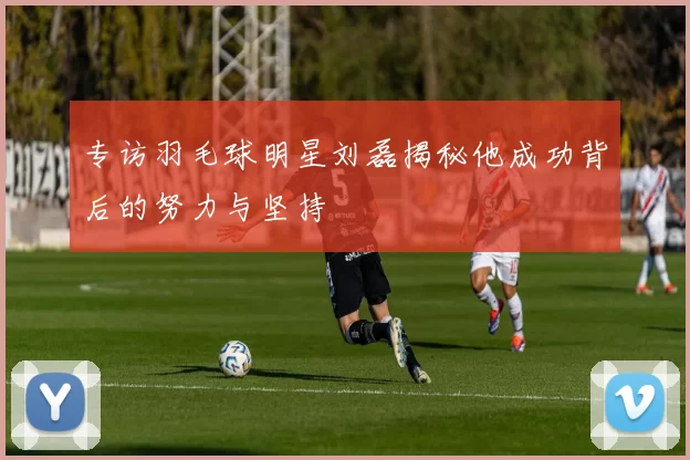 专访羽毛球明星刘磊揭秘他成功背后的努力与坚持